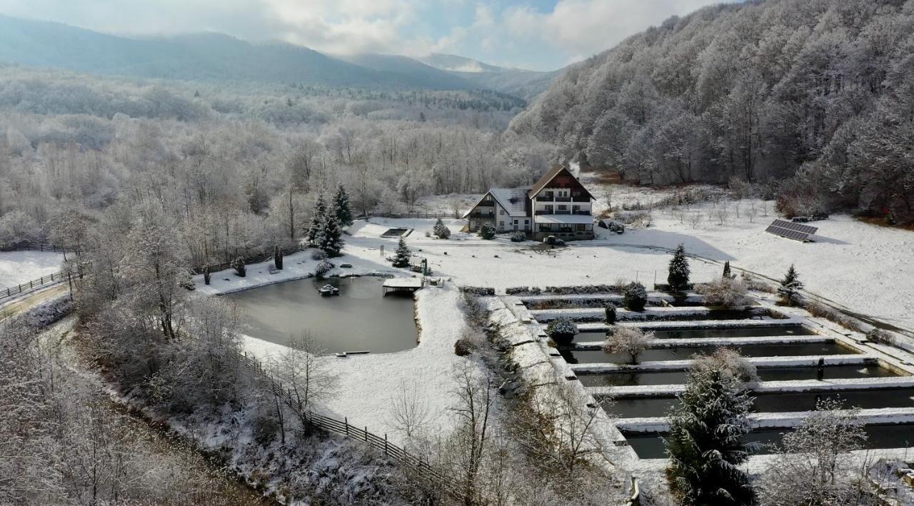 Valea Salbatica Hotel Újsinka Kültér fotó