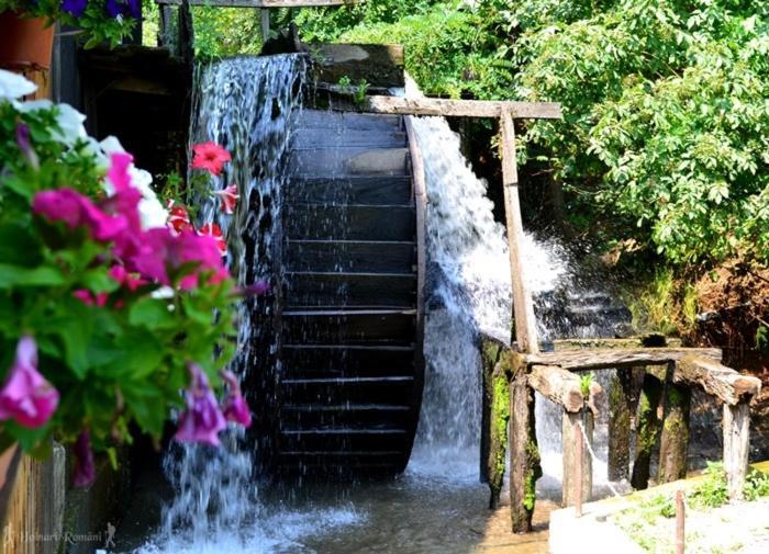 Valea Salbatica Hotel Újsinka Kültér fotó