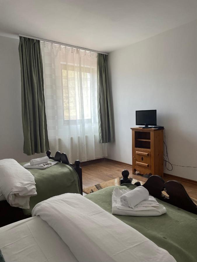 Valea Salbatica Hotel Újsinka Kültér fotó