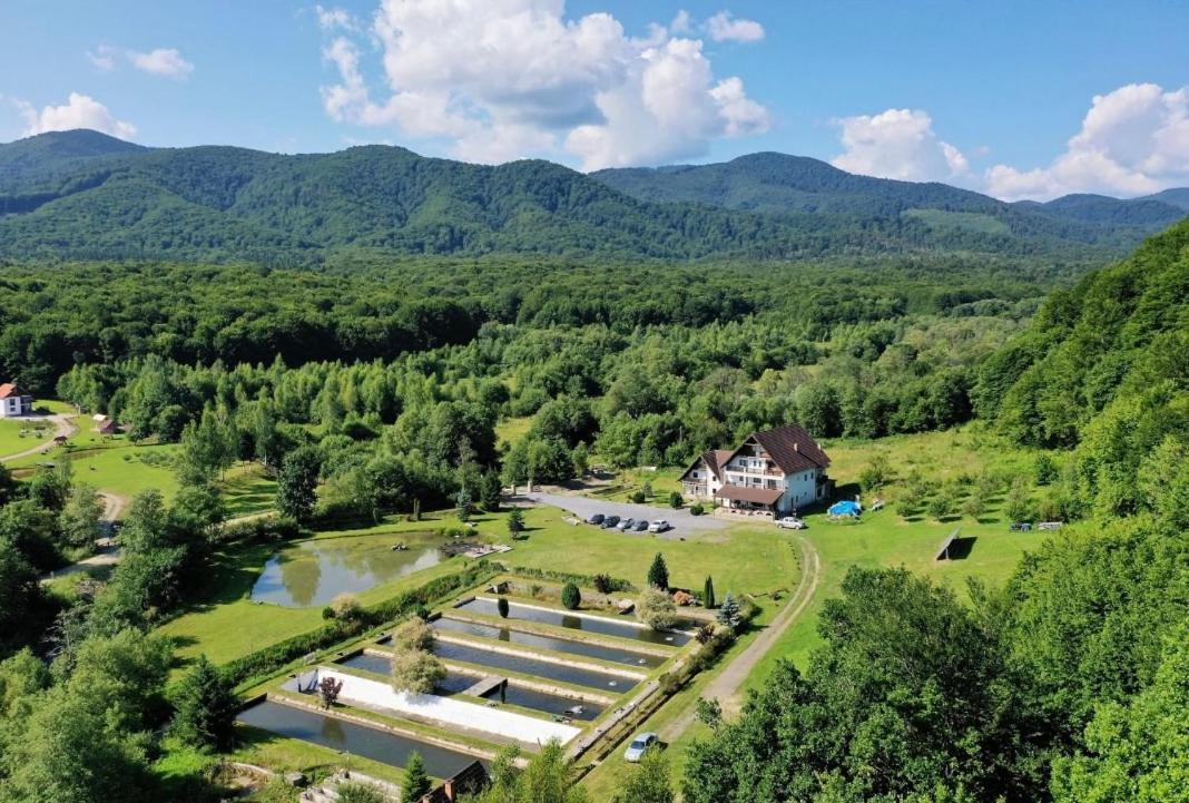 Valea Salbatica Hotel Újsinka Kültér fotó