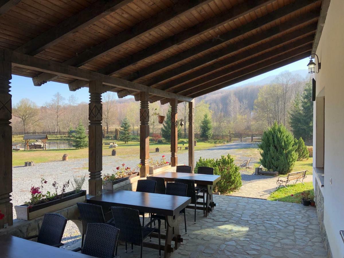 Valea Salbatica Hotel Újsinka Kültér fotó