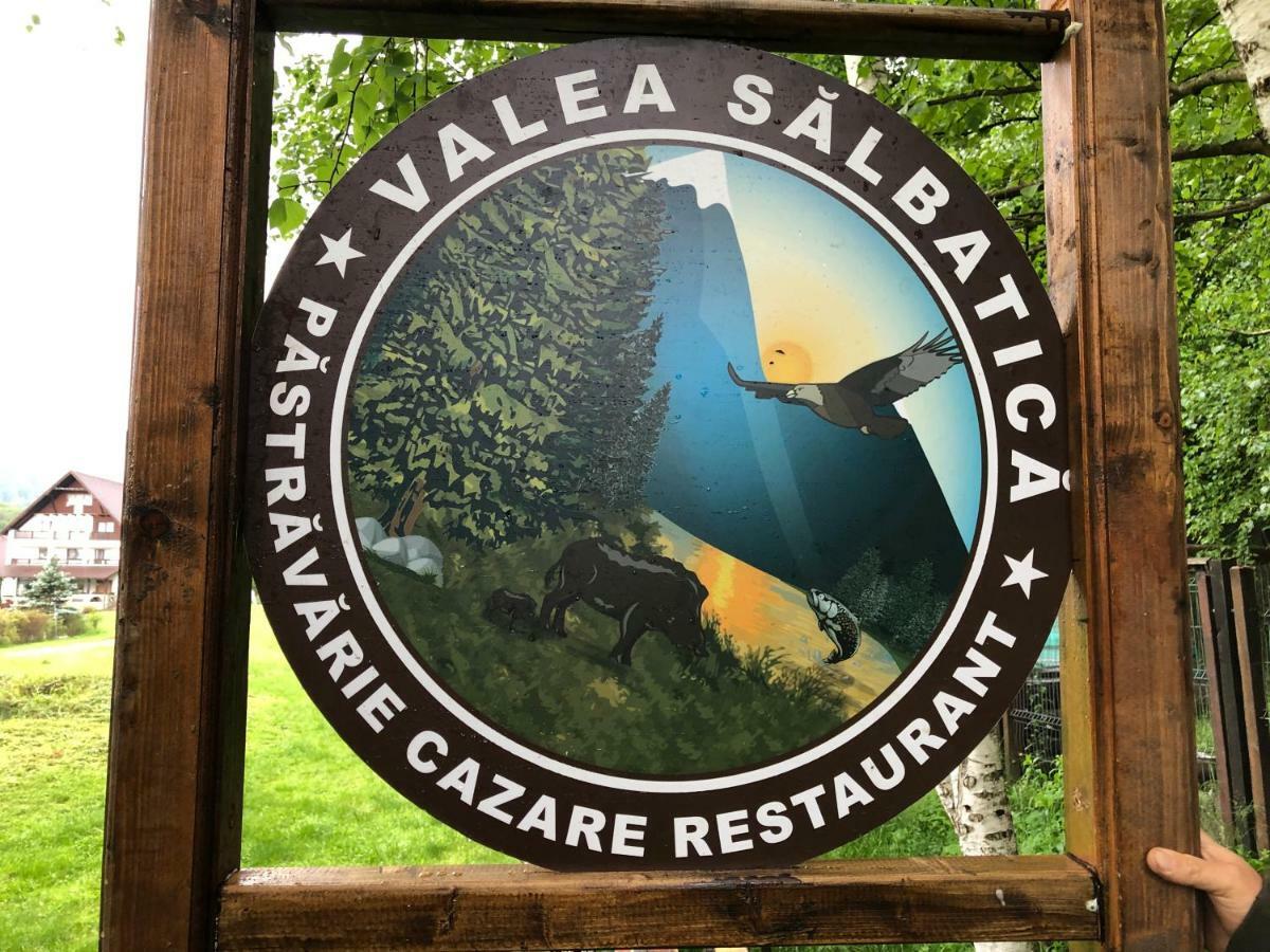 Valea Salbatica Hotel Újsinka Kültér fotó