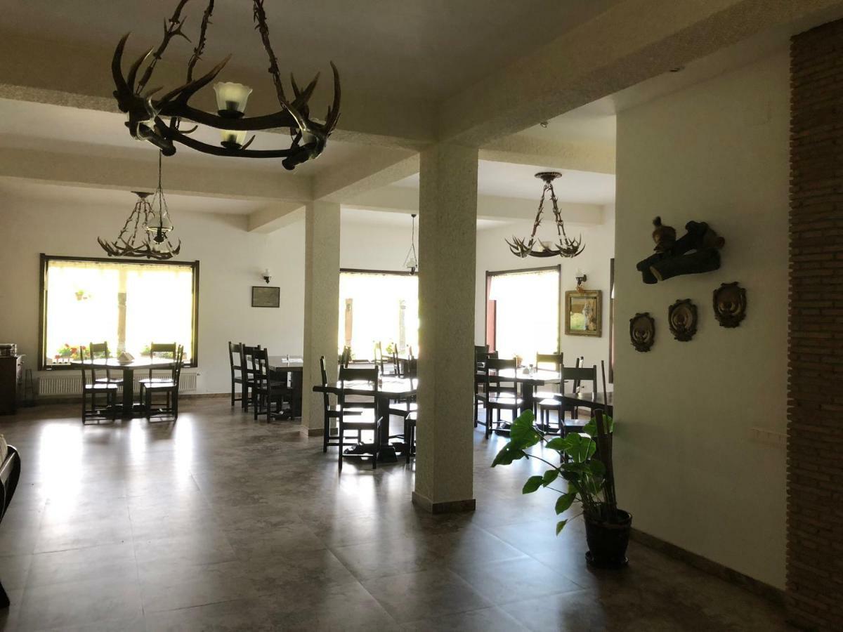 Valea Salbatica Hotel Újsinka Kültér fotó